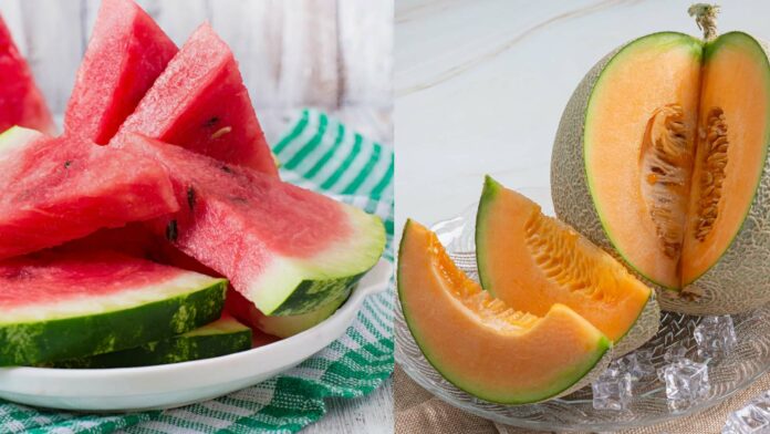 Watermelon or muskmelon: Which fruit is more hydrating?