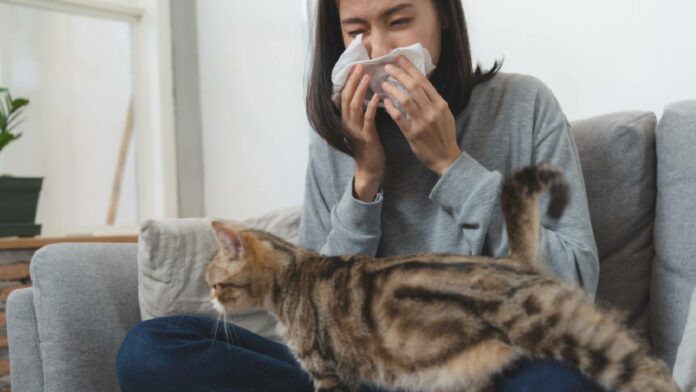 Allergic to cats or dogs? Know all about pet allergy