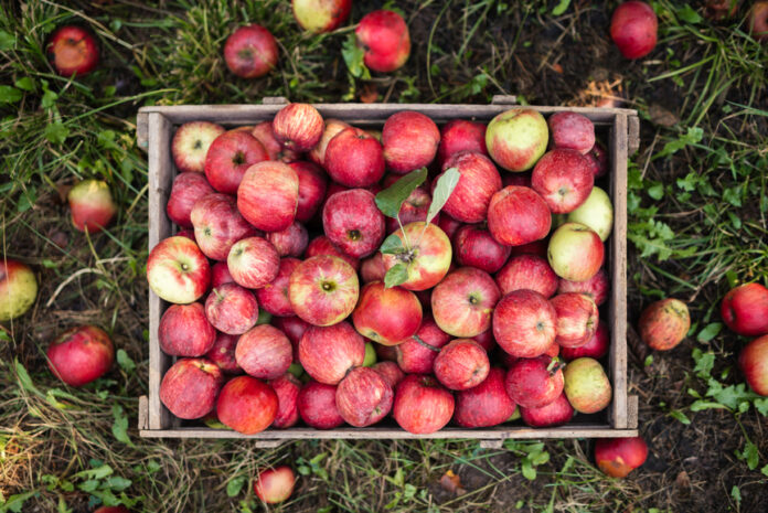 What Inflammation Experts Say You Should Know About Eating an ‘Apple a Day’ for Heart Health