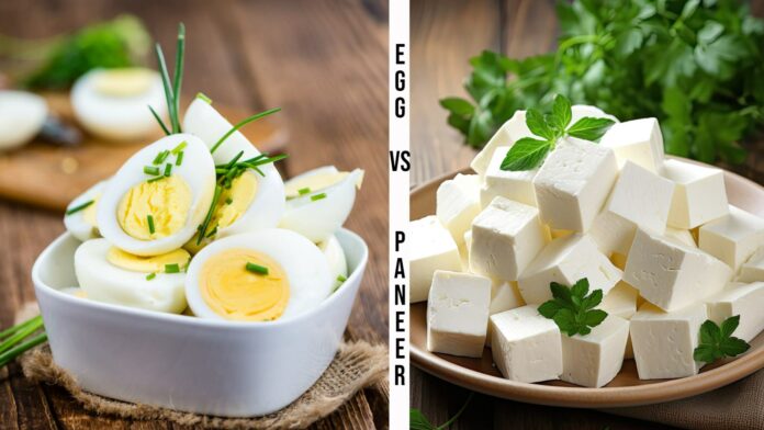 Eggs vs paneer: Which one is a great source of protein?