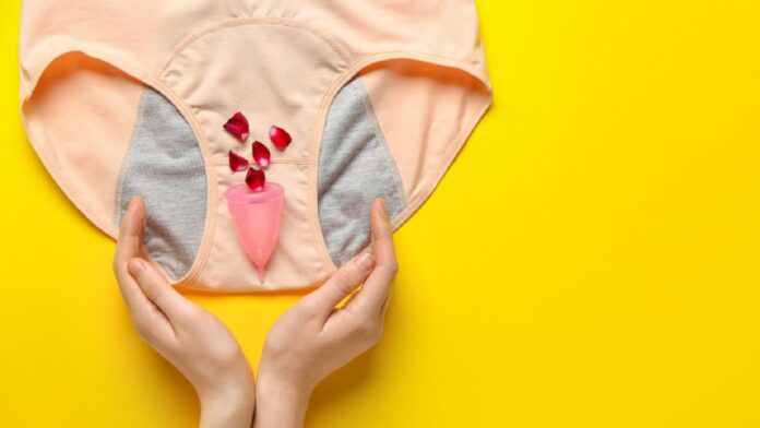Best disposable period panties for comfort: Top 5 picks for you!