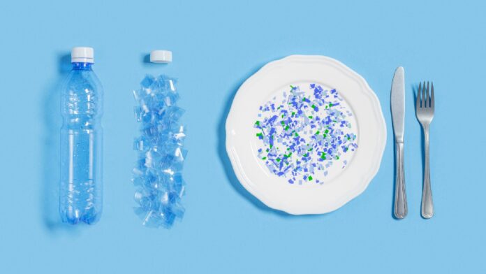 World Environment Day 2024: Why are microplastics harmful for gut health?