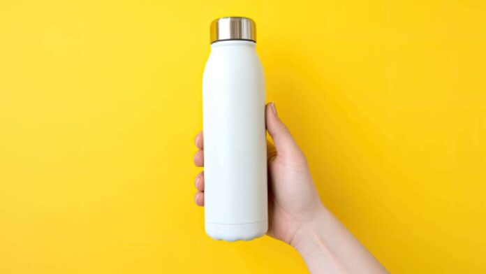 Best stainless steel water bottles: 6 safe picks to stay hydrated