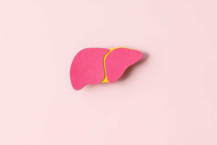 How Long Does It Take to Reverse Fatty Liver?