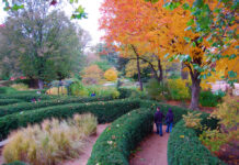 12 Outdoor Micro Adventures For February That Take Less Than An Hour 12 Outdoor Micro Adventures For February That Take Less Than An Hour