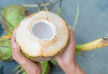 Does Coconut Water Increase Blood Sugar? GI Value. Does Coconut Water Increase Blood Sugar? GI Value.