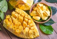 Is Jackfruit Good for Diabetes? Find Out. Is Jackfruit Good for Diabetes? Find Out.