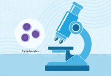What Is Chronic Lymphocytic Leukemia (CLL)? What Is Chronic Lymphocytic Leukemia (CLL)?