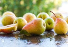 9 Surprising Health Benefits of Pears 9 Surprising Health Benefits of Pears