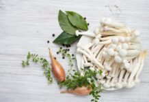 Oyster Mushrooms: Health Benefits, Recipes, and More Oyster Mushrooms: Health Benefits, Recipes, and More