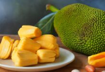 Jackfruit – Benefits, Nutrition, Precautions and Uses Jackfruit – Benefits, Nutrition, Precautions and Uses