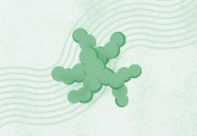 What Is Strep Throat? What Is Strep Throat?