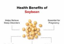 Soybean – Health Benefits, Nutrition Value & Recipes Soybean – Health Benefits, Nutrition Value & Recipes