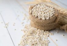 Barley – Nutritional Facts and Health Benefits Barley – Nutritional Facts and Health Benefits