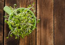 10 Health Benefits of Alfalfa Sprouts 10 Health Benefits of Alfalfa Sprouts